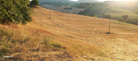 5 bedrooms House in Arcevia, Italy No. 296208 35