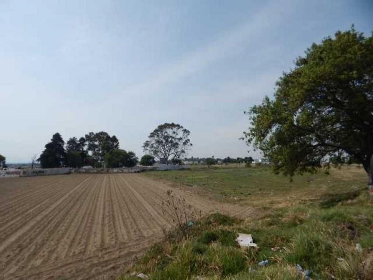 Terrain à Cuautitlan Izcalli, Mexico No. 204455