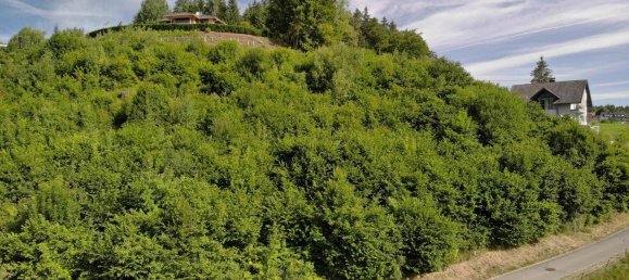 Terreno en Maria Rain, Austria No. 213831 4