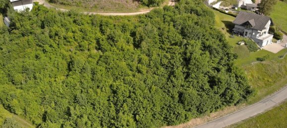 Terreno en Maria Rain, Austria No. 213831 3