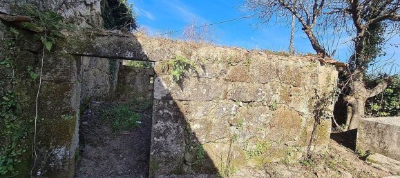 Casa de 4 dormitorios en Canas de Santa Maria, Portugal No. 17699 25
