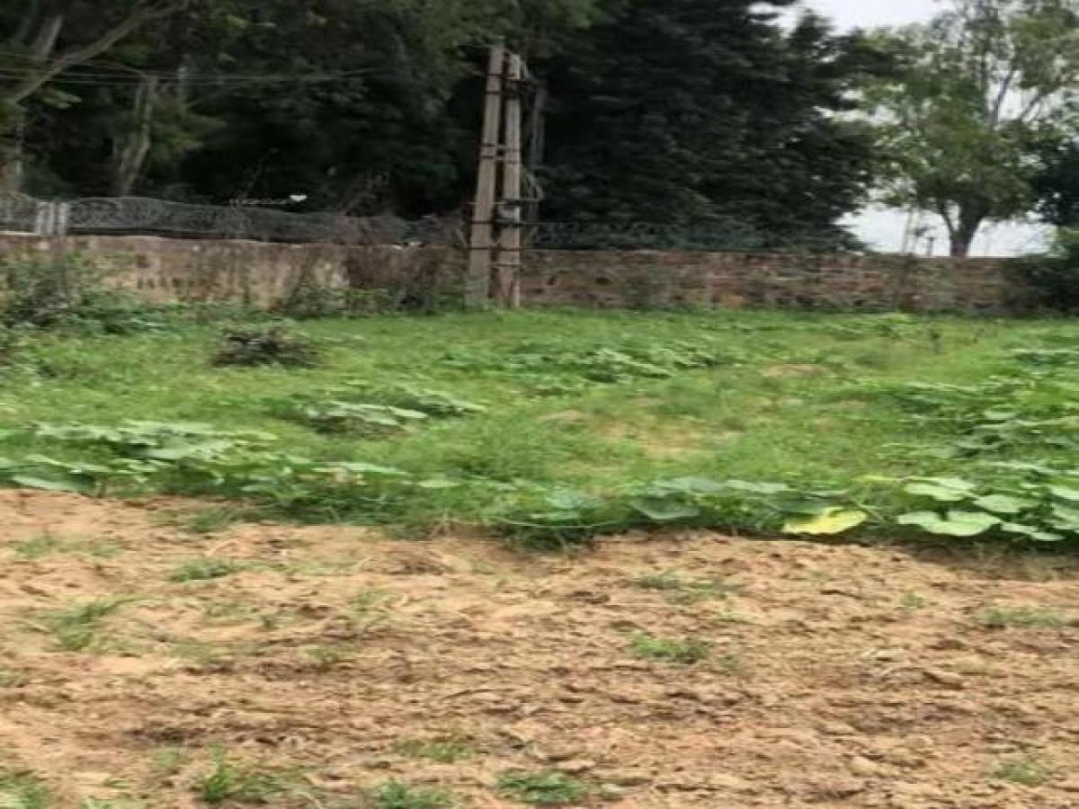  Land in Gurgaon, India No. 35938