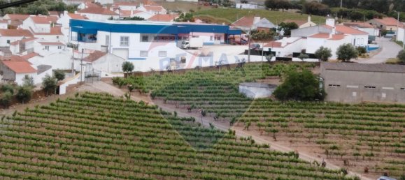 3 غرف نوم منزل في Borba, Portugal رقم 25280 11