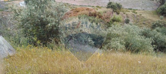 3 غرف نوم منزل في Borba, Portugal رقم 25280 10