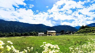  Land in Lendorf, Austria No. 212004