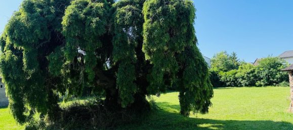 عقار تجاري في Zurndorf, Austria 896متر مربع رقم 231358 17