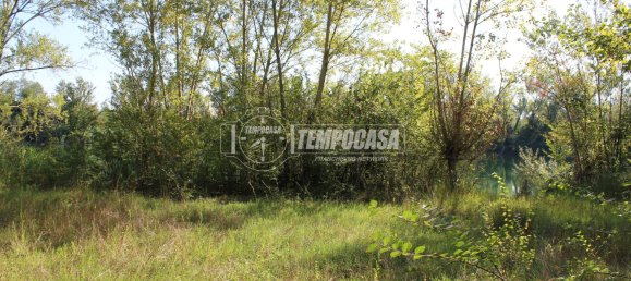 7 rooms House in Jesi, Italy No. 323080 30