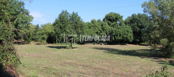 7 rooms House in Jesi, Italy No. 323080 19