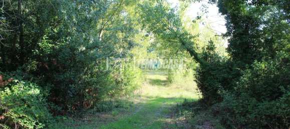 7 rooms House in Jesi, Italy No. 323080 29