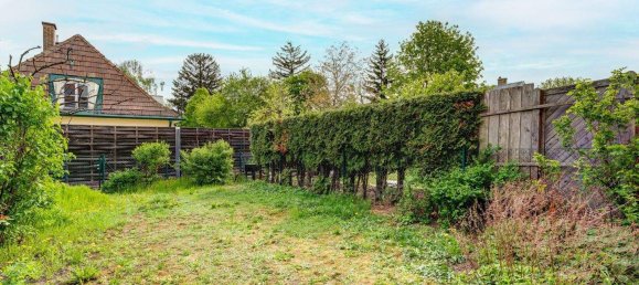 Студия в Клоштернойбург, Австрия № 175376 19