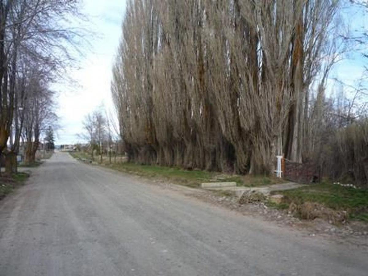  Land in Chubut, Argentina No. 37545