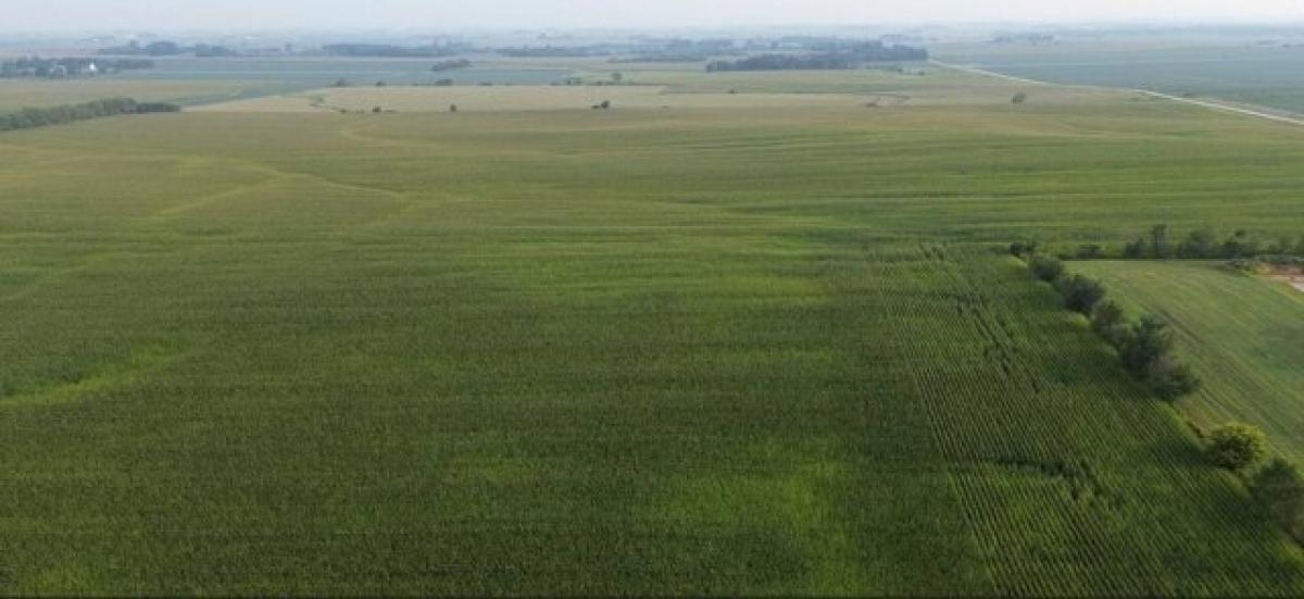  Land in Hayfield, USA No. 486999