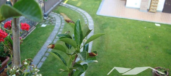 5 rooms Villa in Ragalna, Italy No. 286389 2