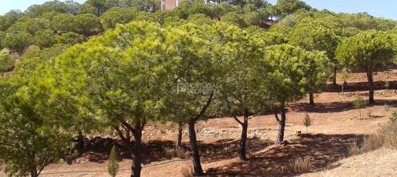 2 غرف نوم منزل في Tavira, Portugal رقم 57293 5