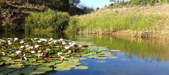 2 غرف نوم منزل في Tavira, Portugal رقم 57293 14