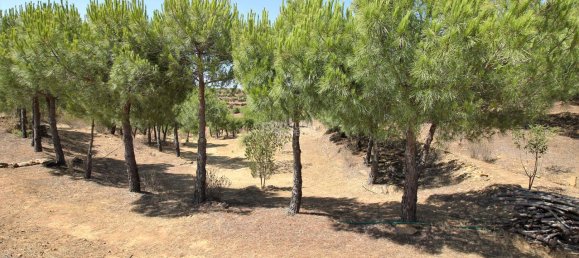 2 غرف نوم منزل في Tavira, Portugal رقم 57293 20