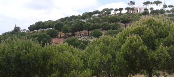 2 غرف نوم منزل في Tavira, Portugal رقم 57293 13