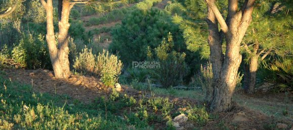 2 غرف نوم منزل في Tavira, Portugal رقم 57293 11