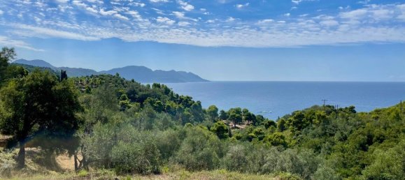 Grundstück in Corfu, Greece 8000m², Nr. 93786 26