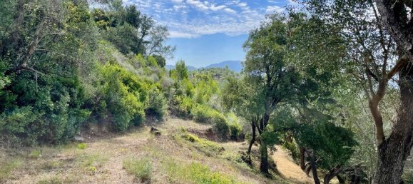 Grundstück in Corfu, Greece 8000m², Nr. 93786 19