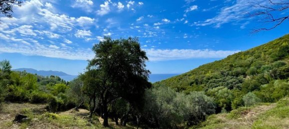 Grundstück in Corfu, Greece 8000m², Nr. 93786 9