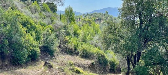 Grundstück in Corfu, Greece 8000m², Nr. 93786 27