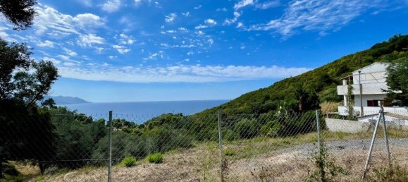 Grundstück in Corfu, Greece 8000m², Nr. 93786 8