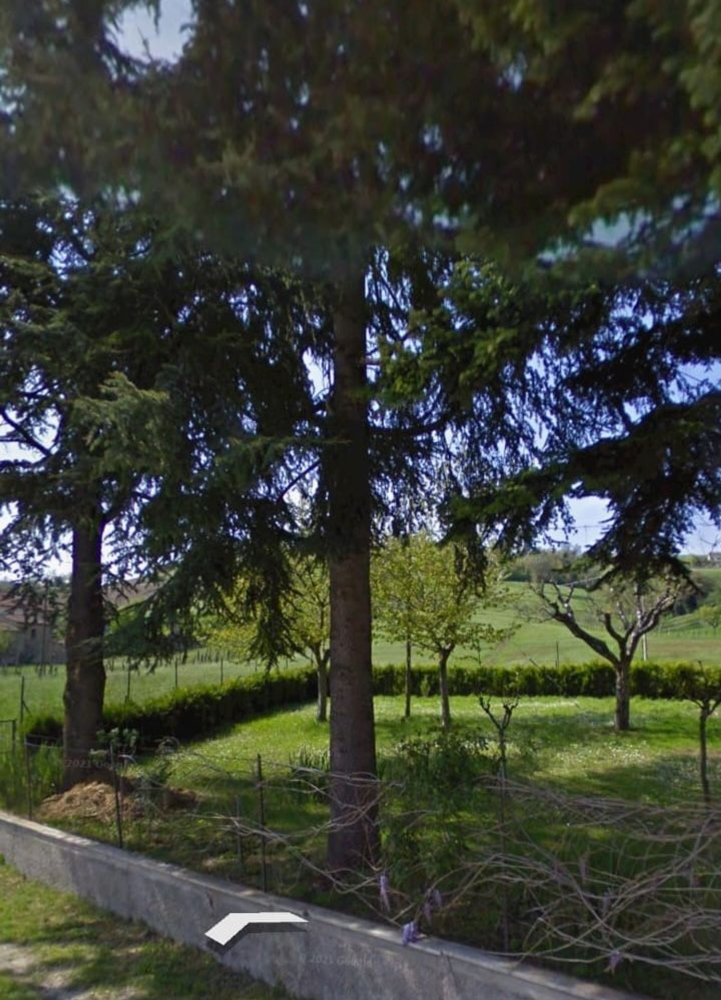 8 rooms Villa in San Ginesio, Italy No. 278355