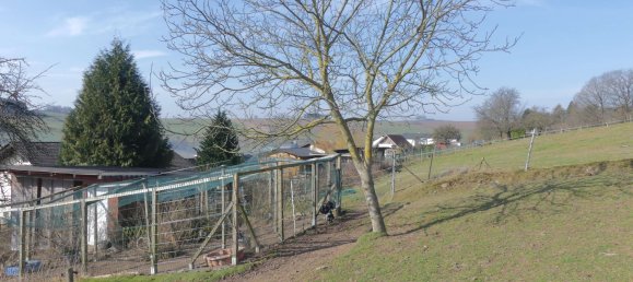 Granja de 3 dormitorios en Odenwaldkreis, Germany No. 30659 27