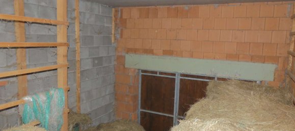 Granja de 3 dormitorios en Odenwaldkreis, Germany No. 30659 19