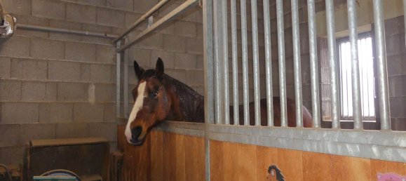 Granja de 3 dormitorios en Odenwaldkreis, Germany No. 30659 20