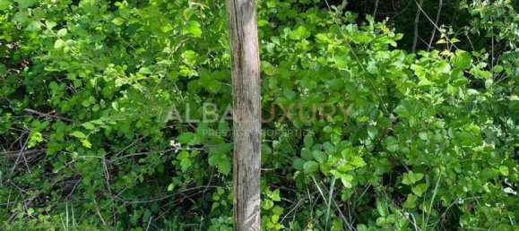 Вилла с 16 комнатами в Акваланья, Италия № 276644 34