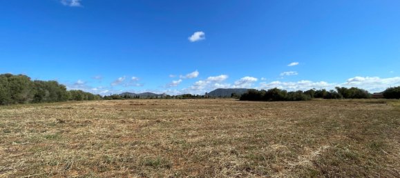  Land in Llucmajor, Spain No. 148311 2
