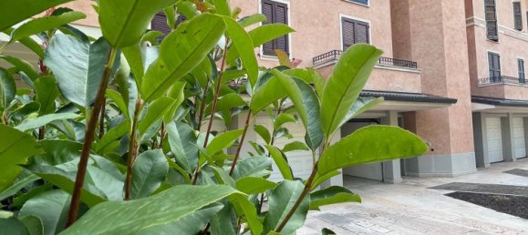 5-salle Appartement à Mirandola, Italy No. 290508 2