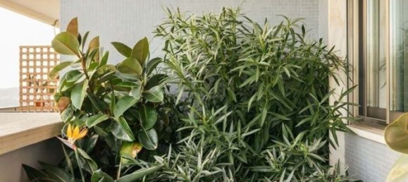 2 bedrooms Apartment in Lisbon, Portugal No. 123288 30