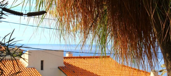 4 bedrooms House in Funchal, Portugal No. 77514 21