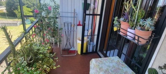 3 chambres Appartement à Cormano, Italy No. 370140 21