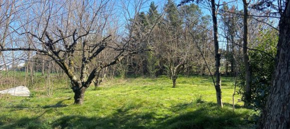 3 غرف نوم منزل في Chateauneuf-du-Rhone, France رقم 271866 4