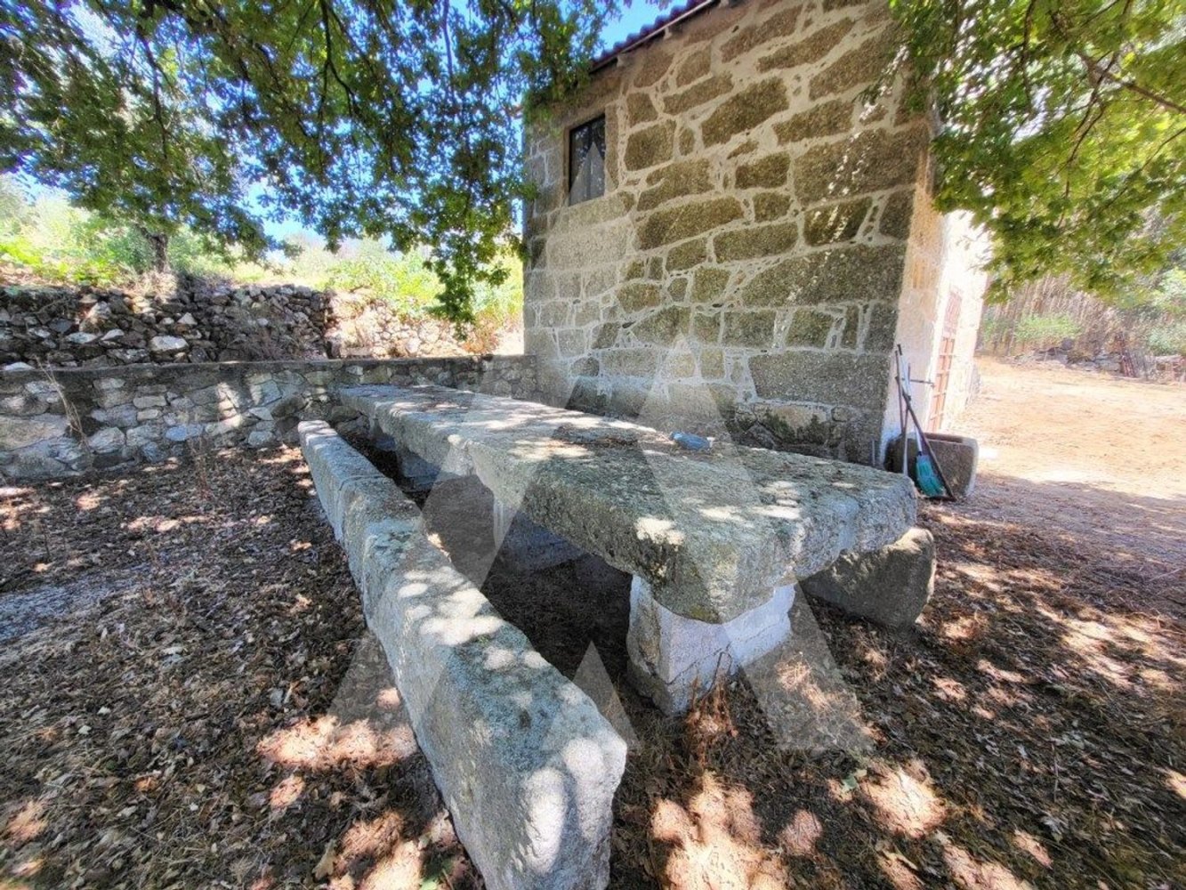 1 Schlafzimmer Haus in Santa Comba Dao, Portugal, Nr. 272226