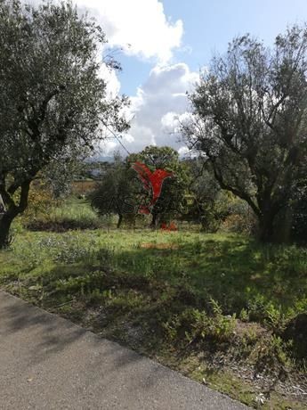  Land in Quarteira, Portugal No. 196251