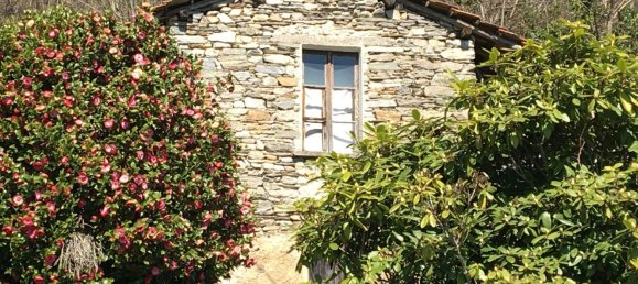 استوديو في Luino, Italy رقم 257469 7