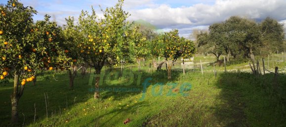 3 Schlafzimmer Haus in Evora, Portugal, Nr. 78503 17