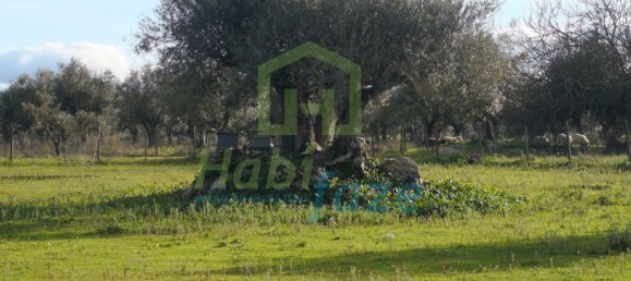 3 Schlafzimmer Haus in Evora, Portugal, Nr. 78503 23