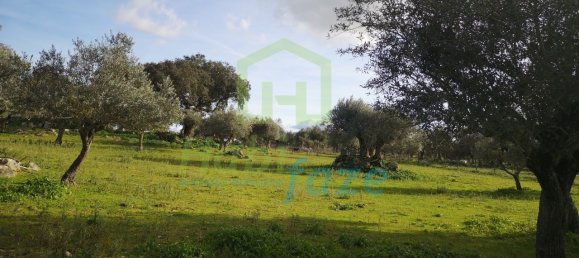 3 Schlafzimmer Haus in Evora, Portugal, Nr. 78503 31