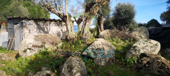 3 Schlafzimmer Haus in Evora, Portugal, Nr. 78503 6