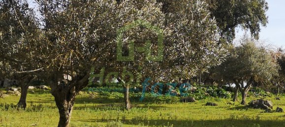 3 Schlafzimmer Haus in Evora, Portugal, Nr. 78503 3