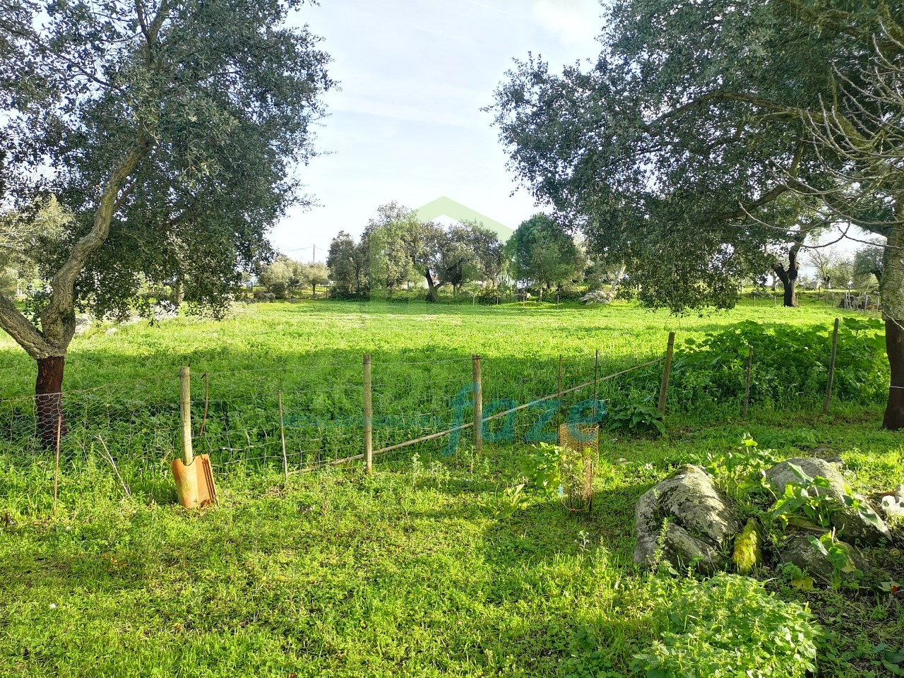 3 Schlafzimmer Haus in Evora, Portugal, Nr. 78503