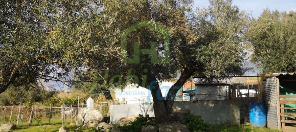 3 Schlafzimmer Haus in Evora, Portugal, Nr. 78503 32