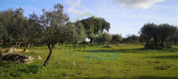 3 Schlafzimmer Haus in Evora, Portugal, Nr. 78503 24