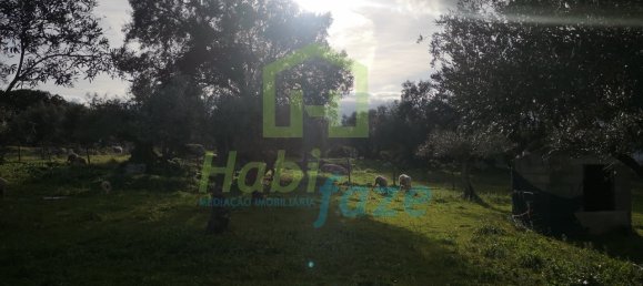 3 Schlafzimmer Haus in Evora, Portugal, Nr. 78503 27